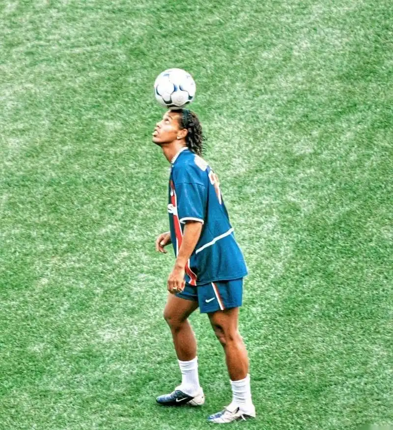 的完美交融 的完美交融